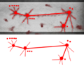Bloodmap analysis.png